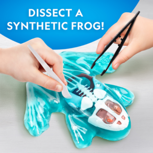 National Geographic Glow-in-the-Dark Frog Dissection Lab - Image 2